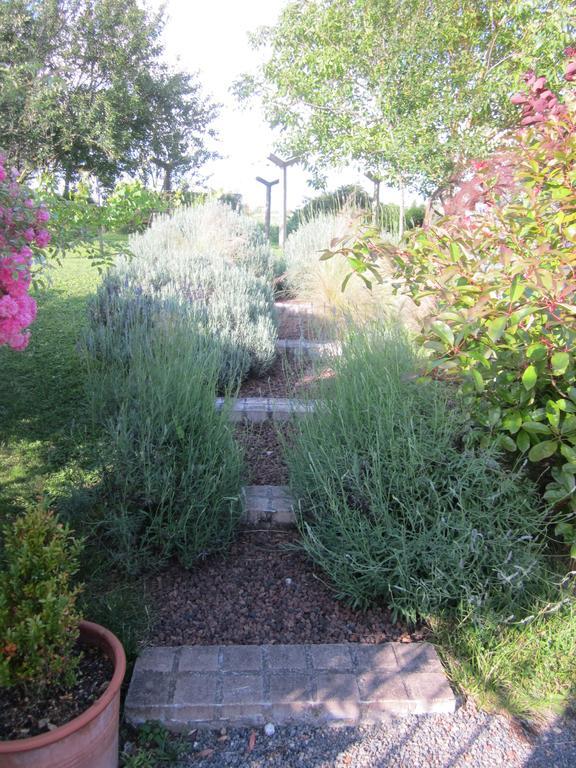 Les Gites Du Veau D'Or Ozillac Exterior foto